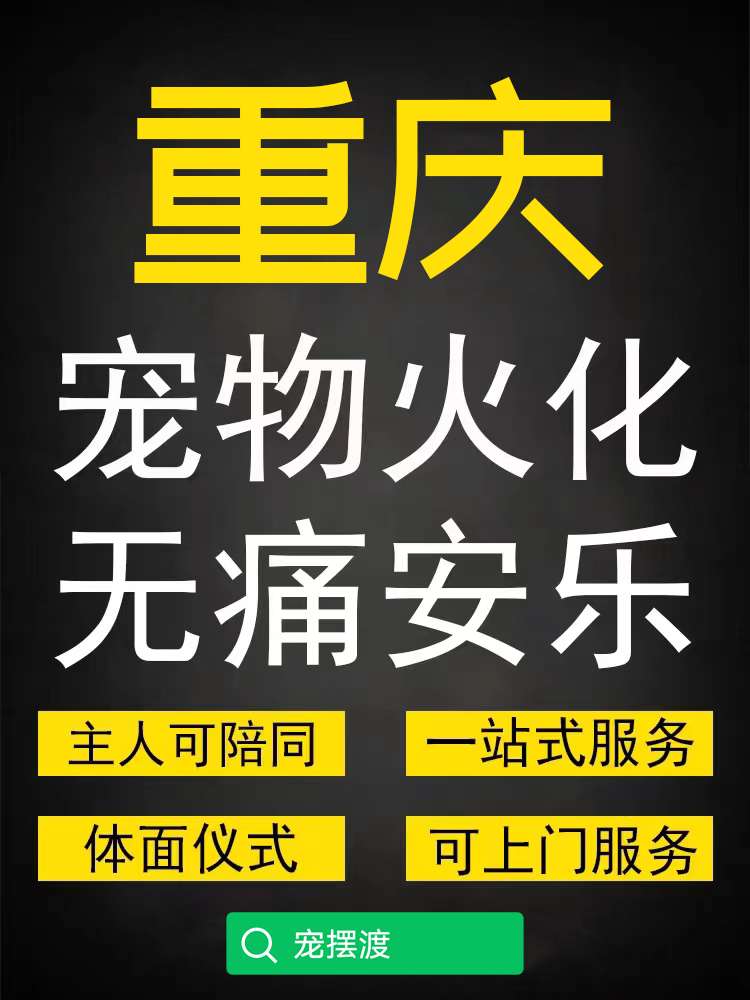 重庆宠物火化，狗狗猫猫去世了怎么处理？宠物殡葬流程