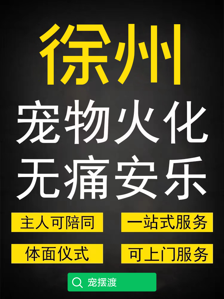 徐州宠物火化，狗狗猫猫去世了怎么处理？宠物殡葬流程