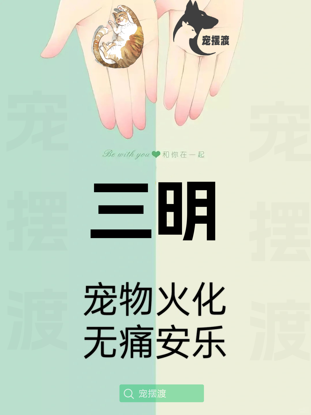 三明宠物善后：如何处理宠物的遗体告别仪式