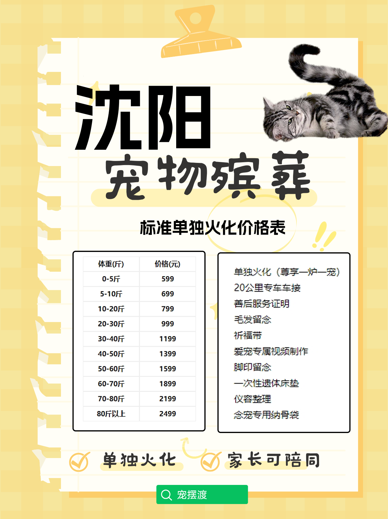 沈阳宠物善后指南：如何妥善处理宠物离世后的事务