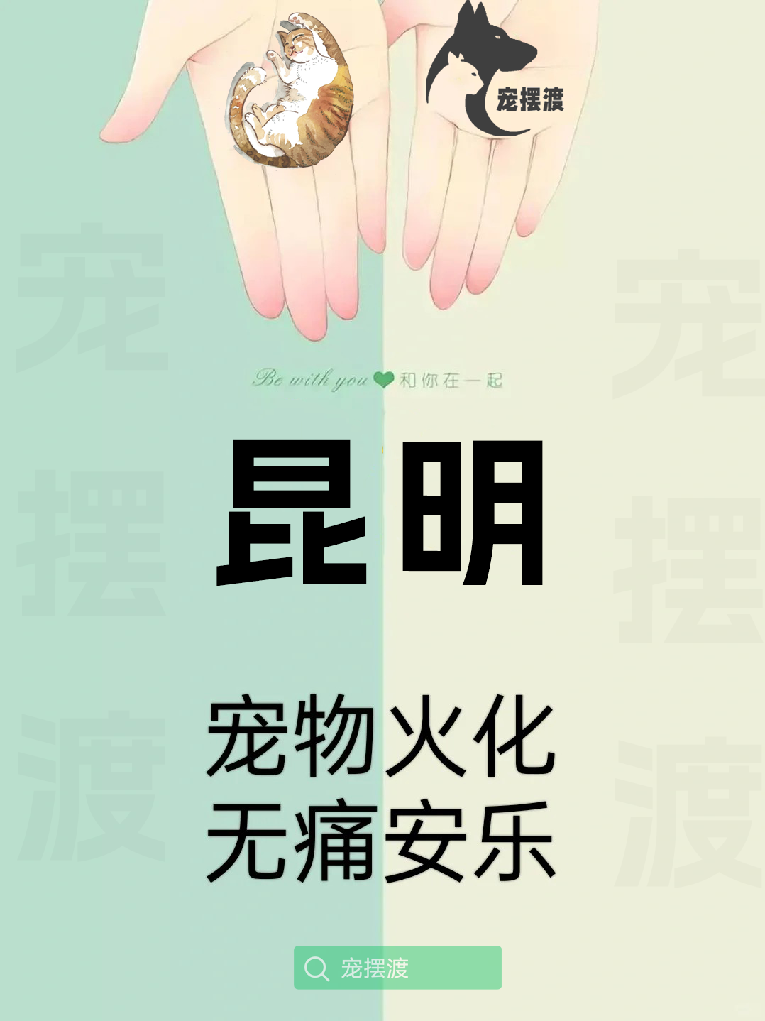 昆明宠物丧葬：如何处理宠物的遗体告别仪式