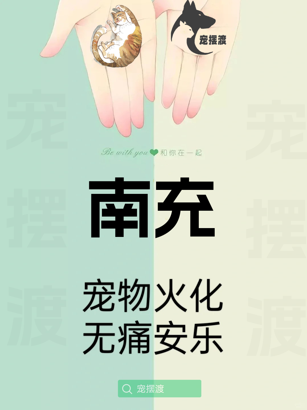 南充宠物身后事：如何处理宠物的遗体告别仪式