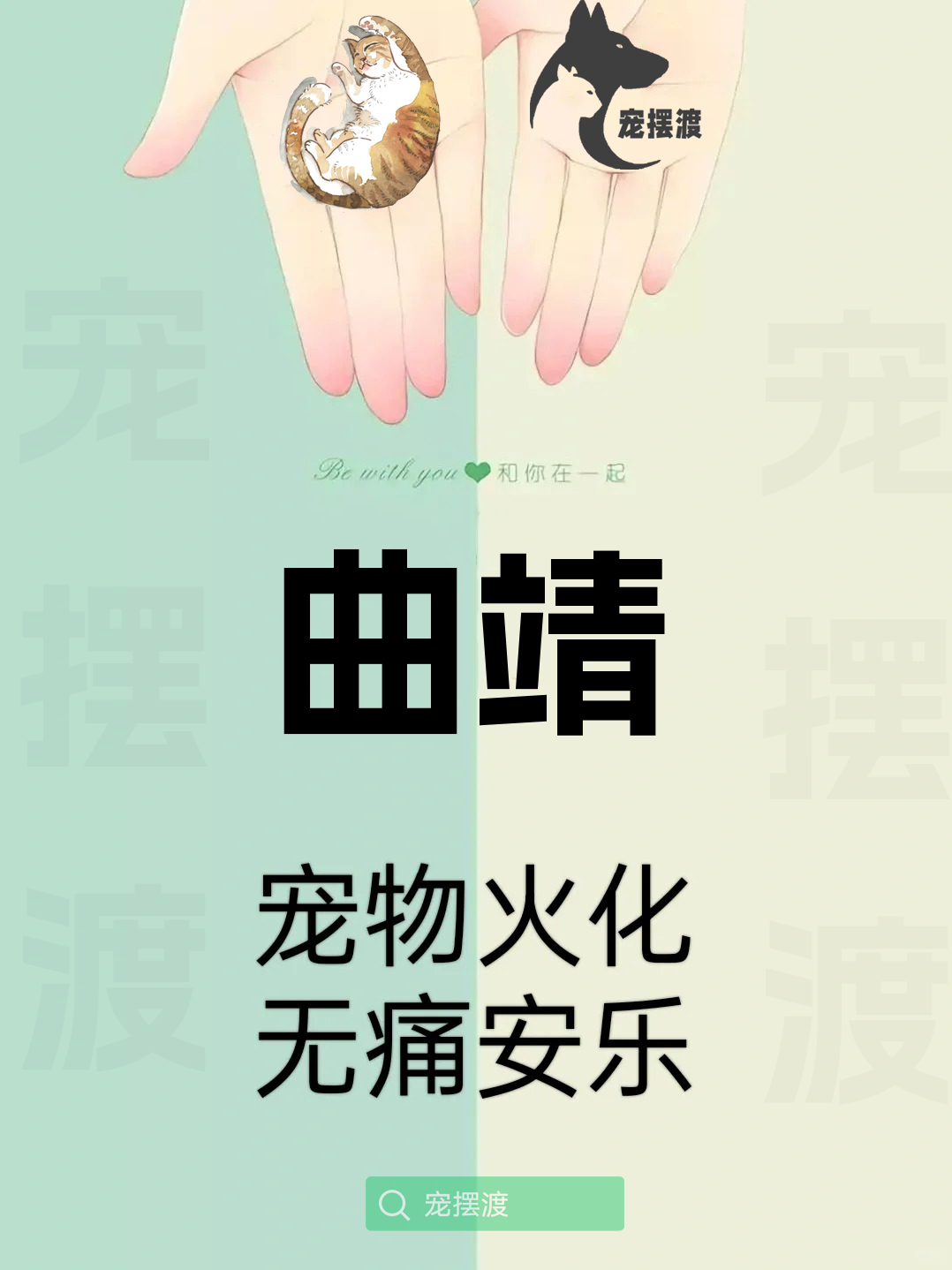 曲靖宠物殡仪馆：如何让告别更具情感价值