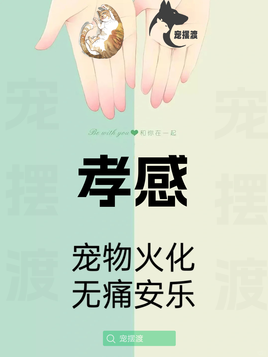 孝感宠物善后：如何处理宠物的遗体告别仪式