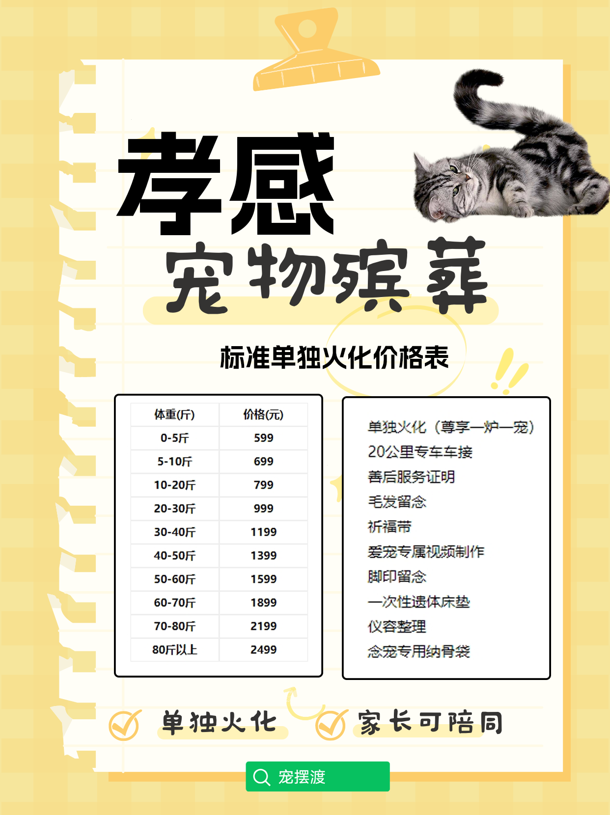 孝感宠物殡葬：一份对生命最后的温柔告别