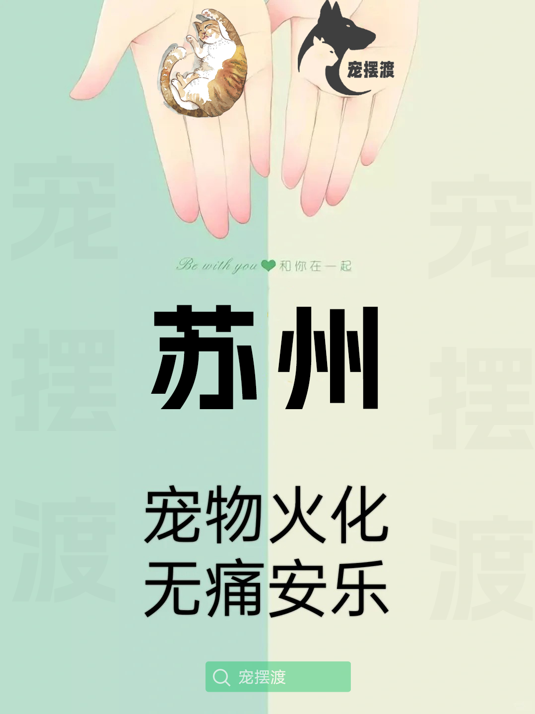 苏州宠物善后：如何处理宠物的遗体告别仪式