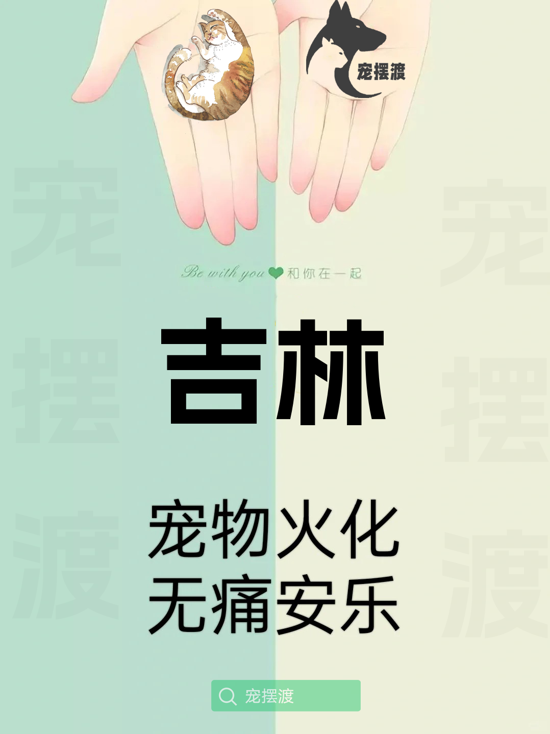 吉林宠物殡葬：如何为宠物选择合适的殡葬仪式