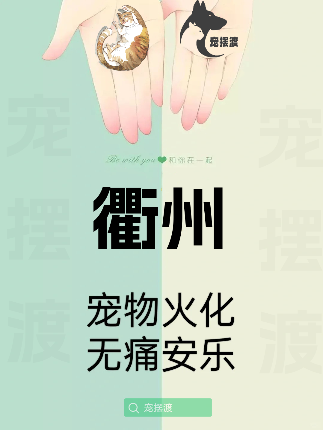 衢州宠物殡葬：如何为宠物选择合适的殡葬团队