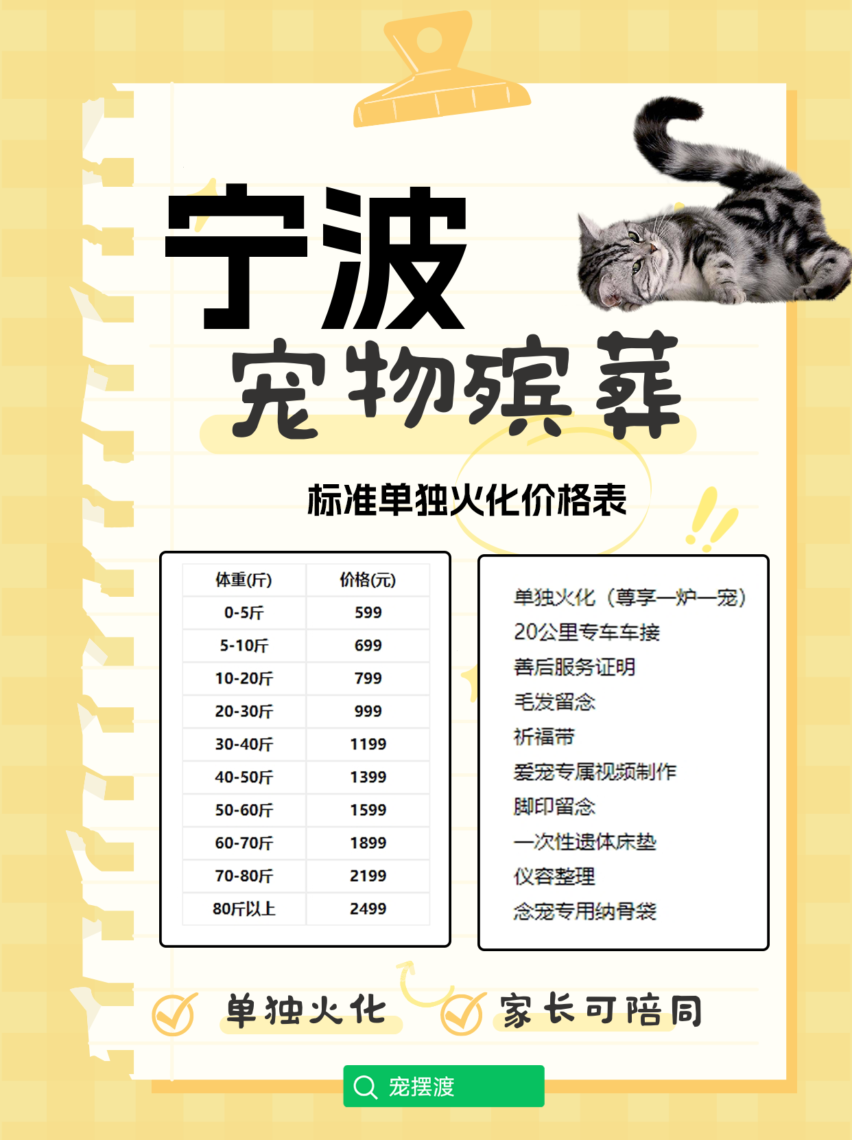 宁波宠物火化：如何让离别不再那么难以承受