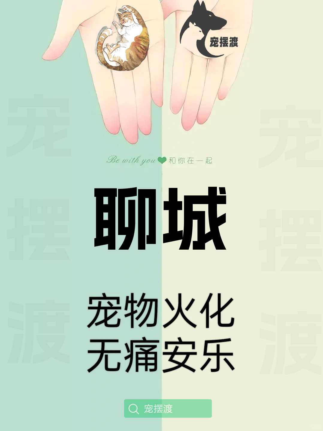 聊城宠物身后事：如何处理宠物的遗体告别仪式