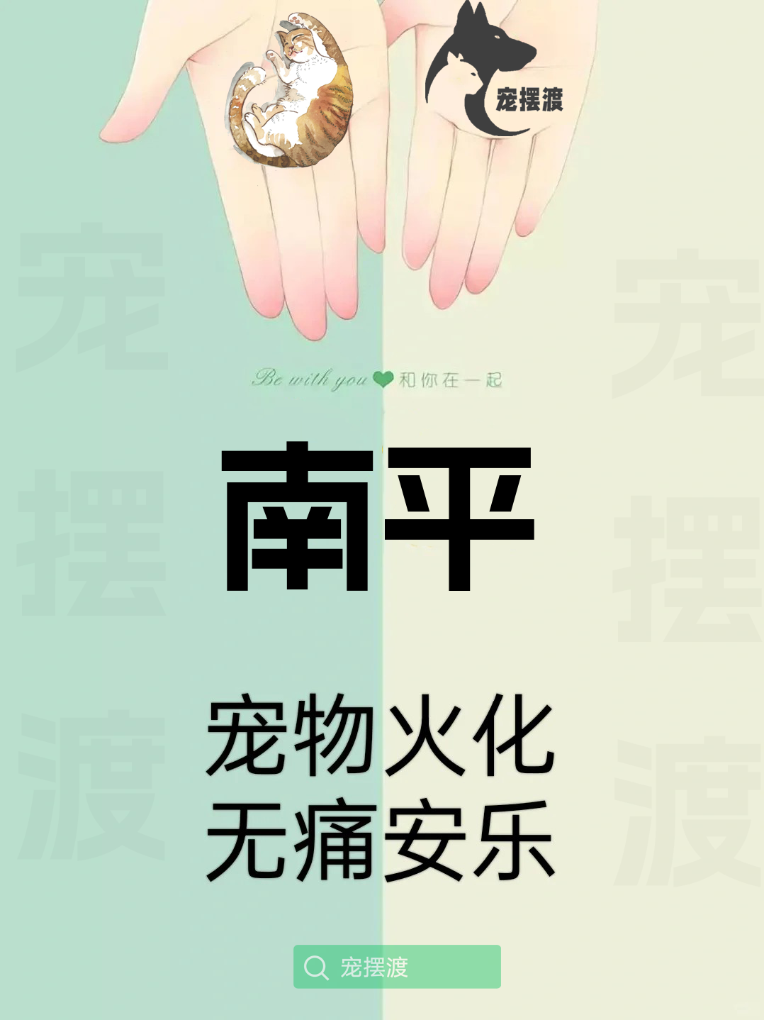 南平宠物火化：如何选择合适的火化服务