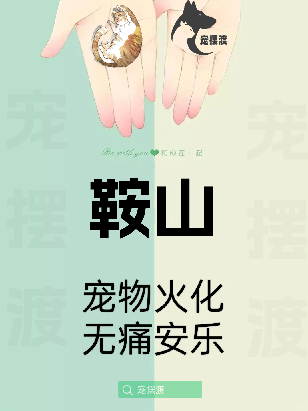 鞍山宠物丧葬：如何处理宠物的遗体告别仪式