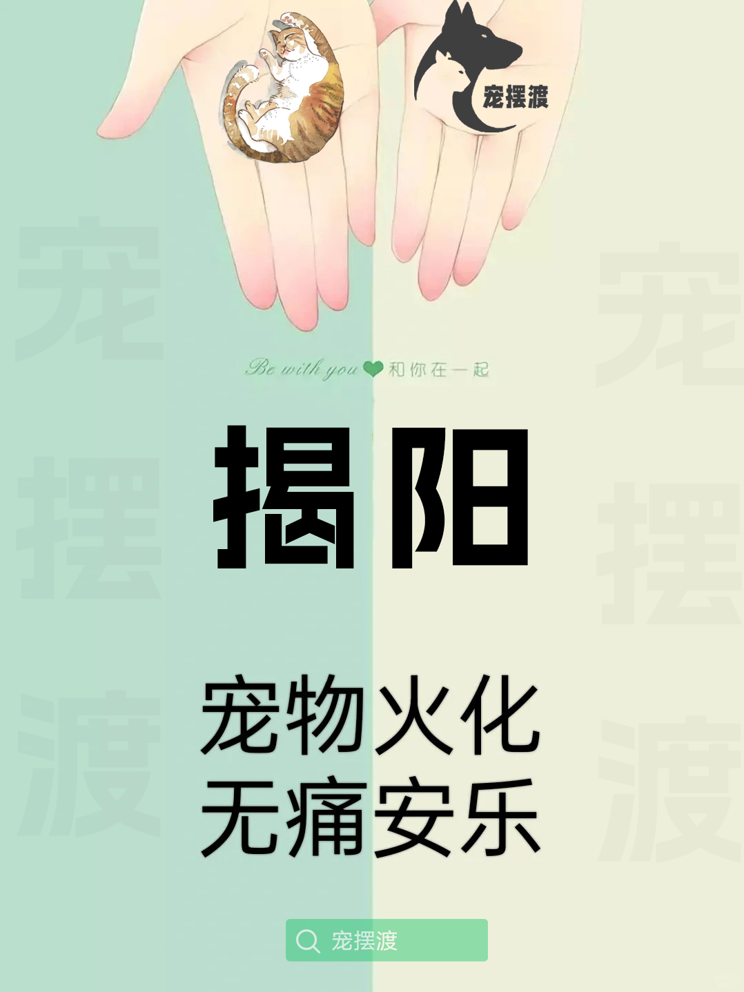揭阳宠物善后：如何处理宠物的遗体告别仪式
