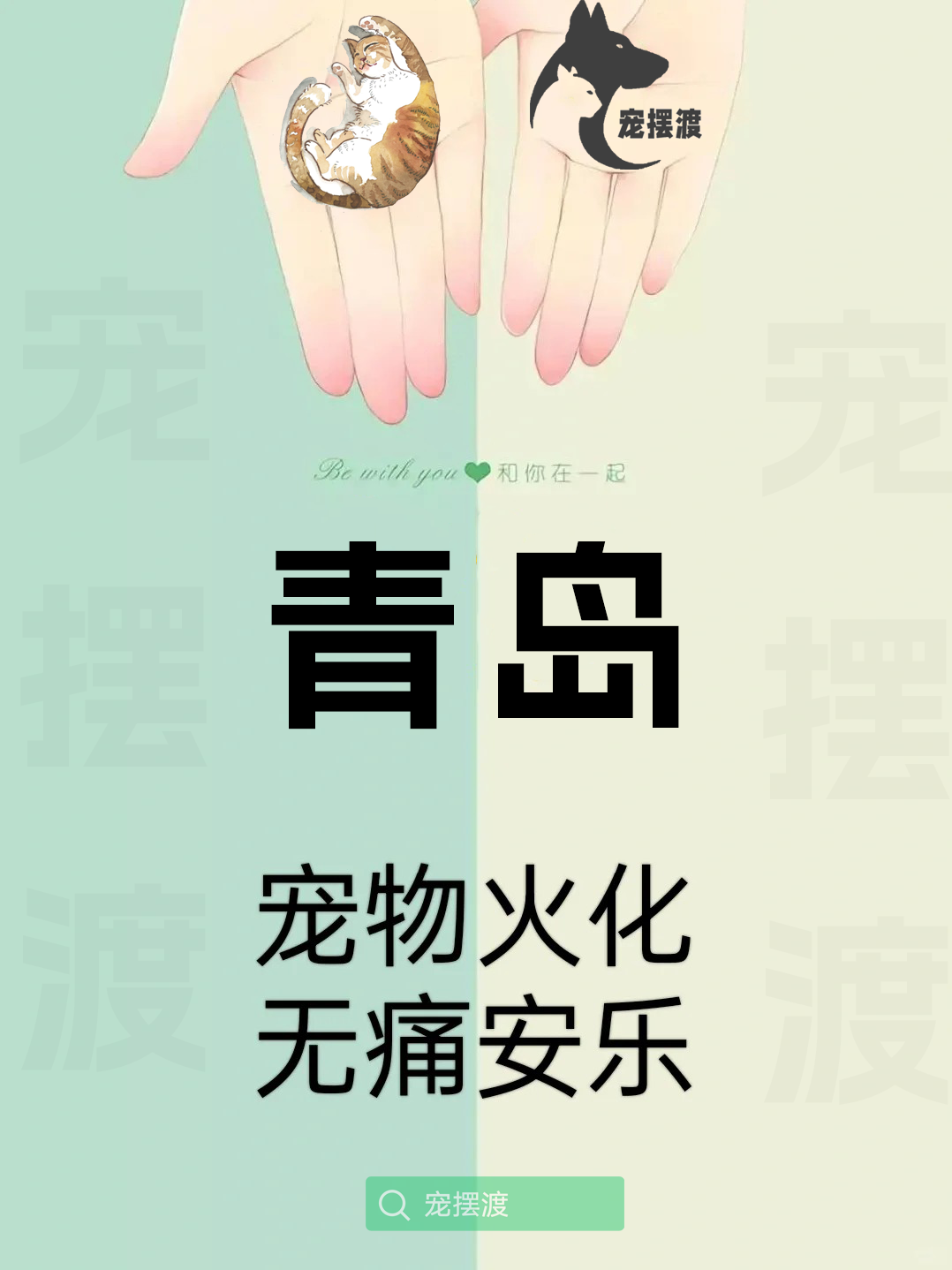 青岛宠物殡仪馆：如何让告别更具情感温度