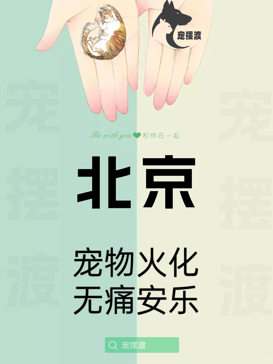 北京宠物殡葬：如何为宠物选择合适的殡葬文化