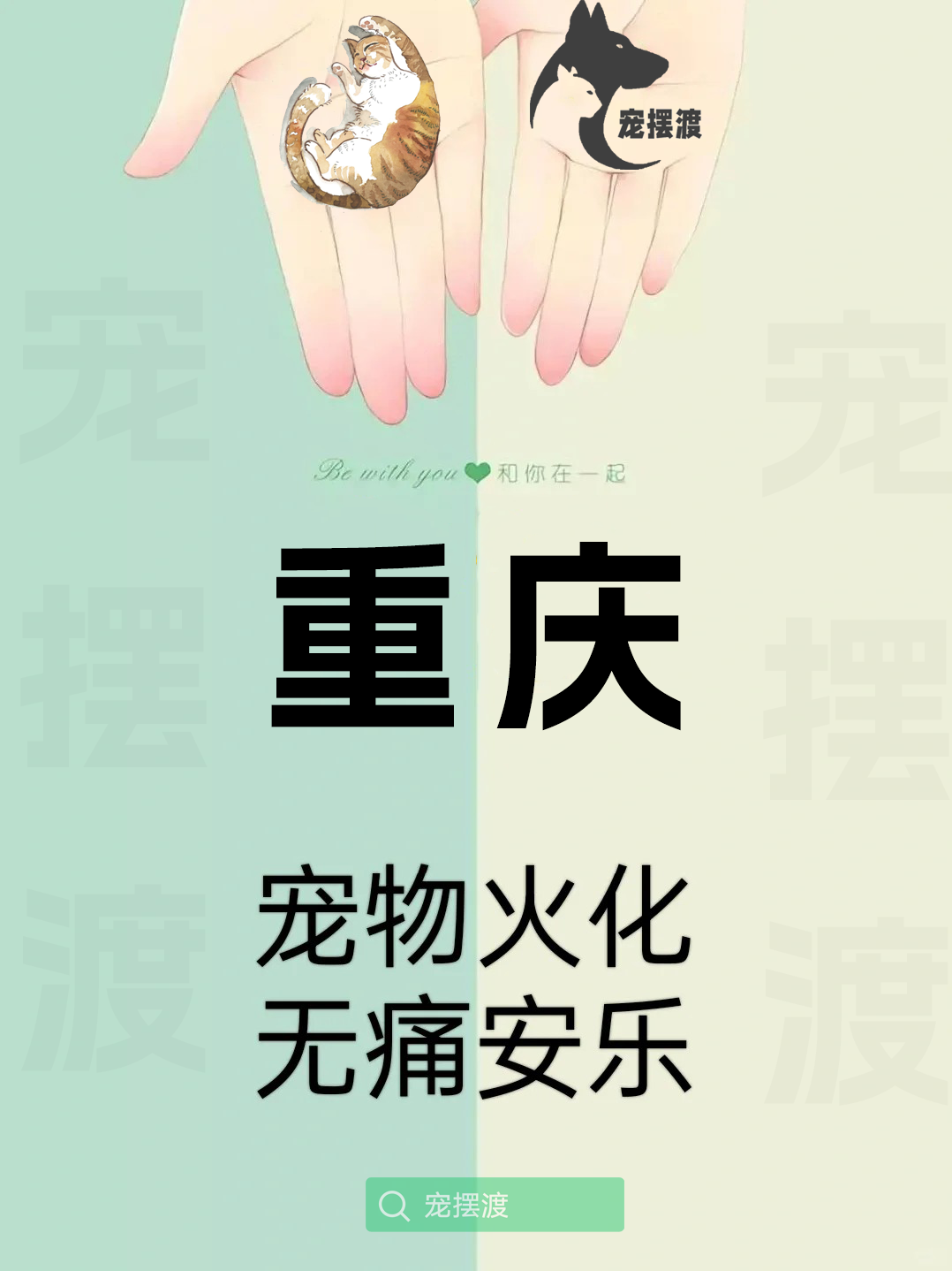 重庆宠物火化：如何选择合适的火化服务