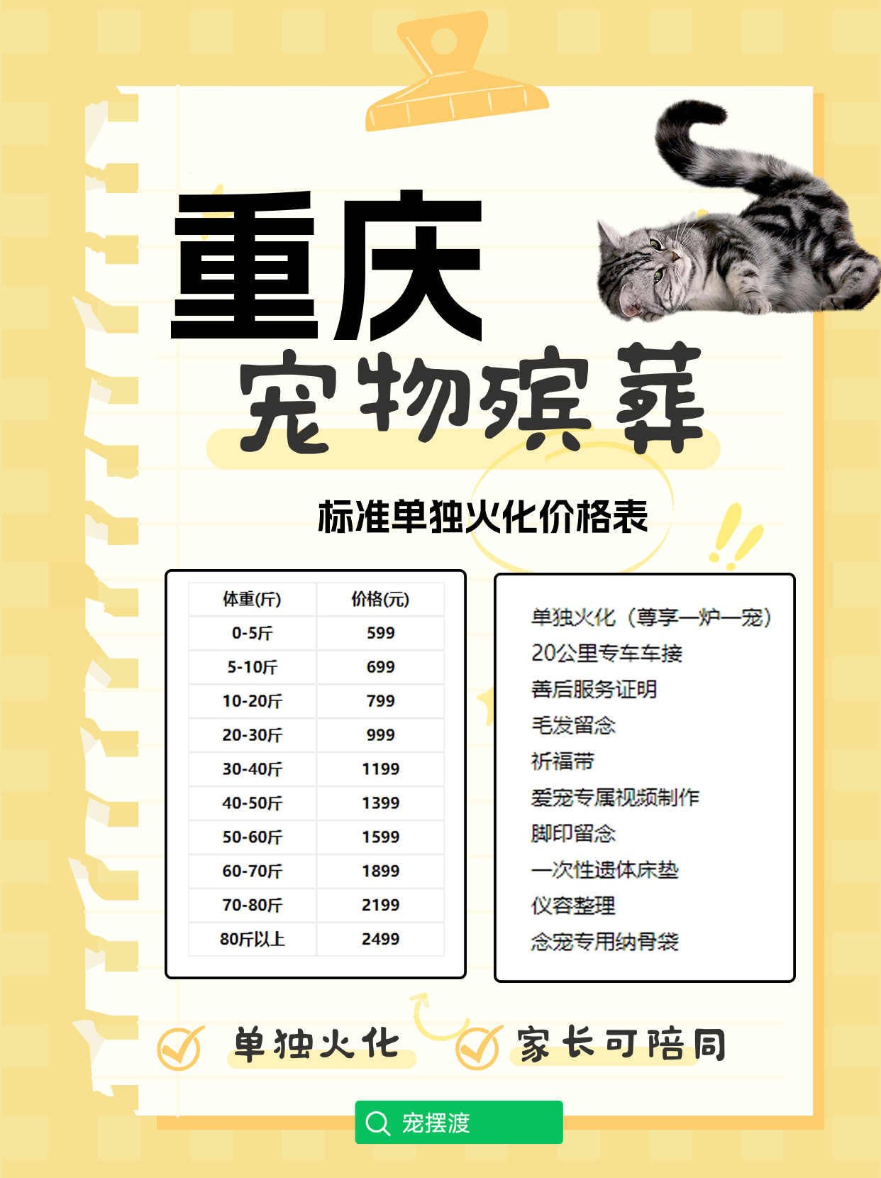 重庆宠物殡葬：从悲伤中找到继续前行的力量