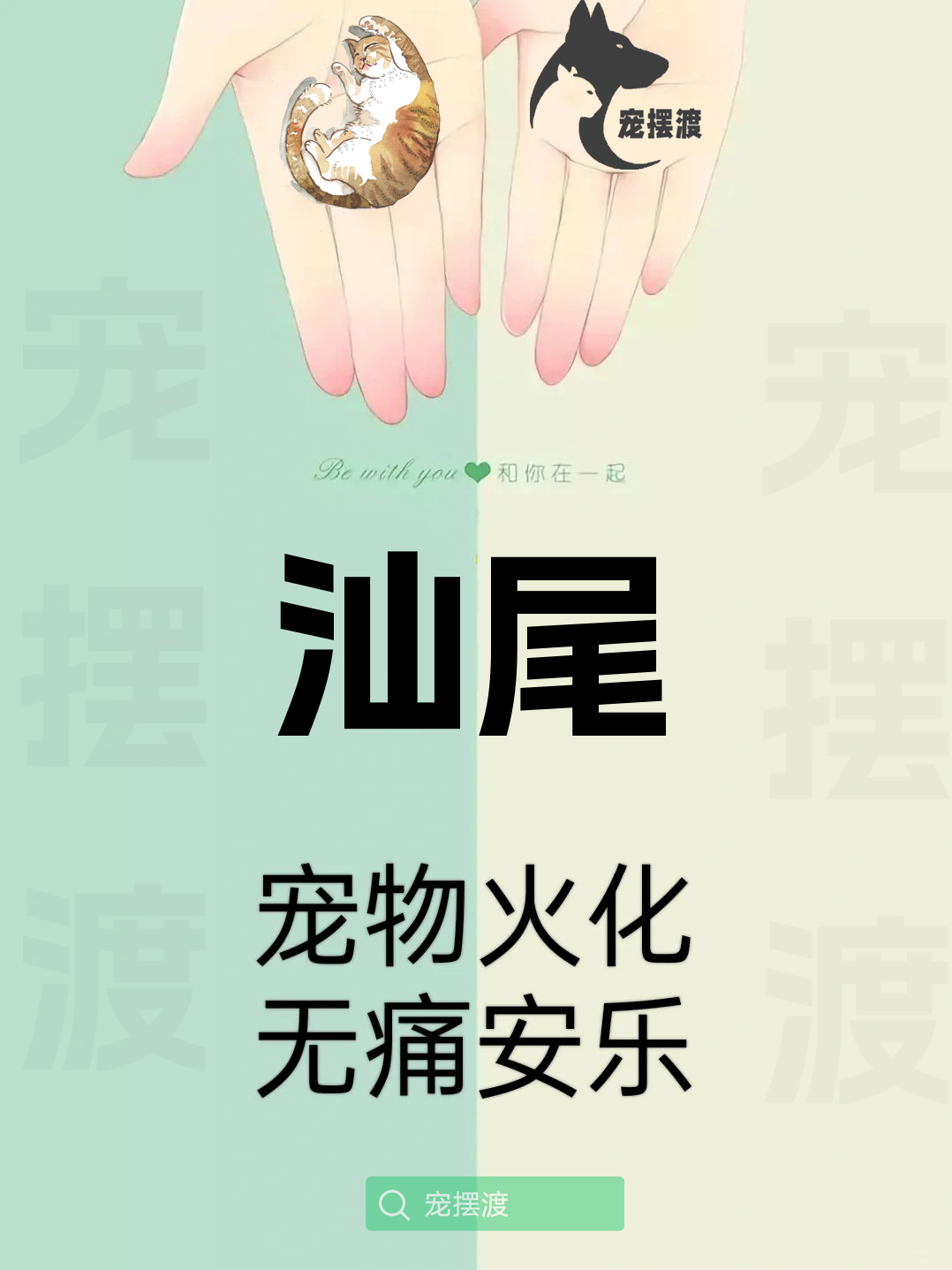 汕尾宠物善后：如何处理宠物的遗体告别仪式