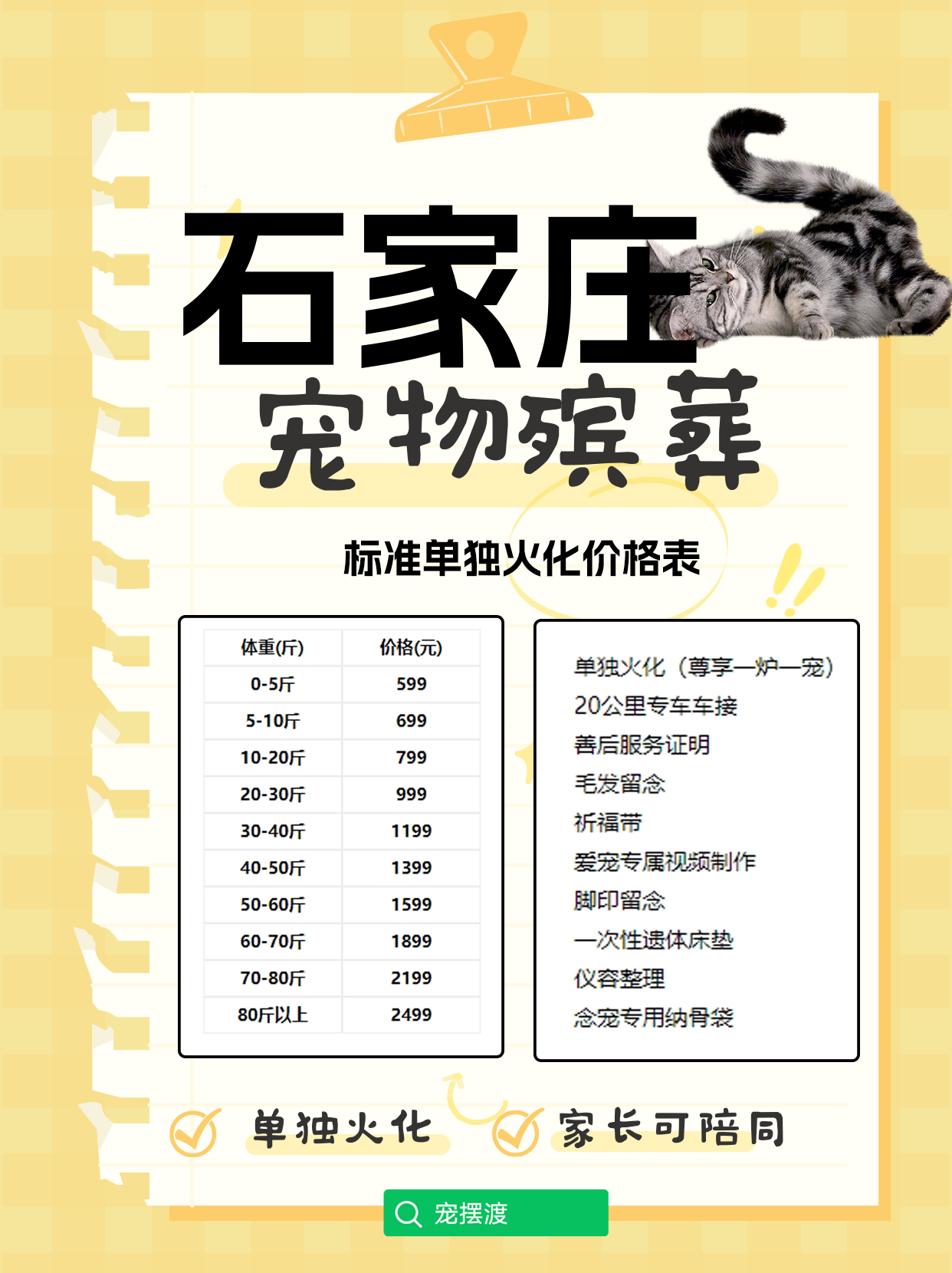 石家庄宠物善后：如何在悲伤中找到继续前行的希望