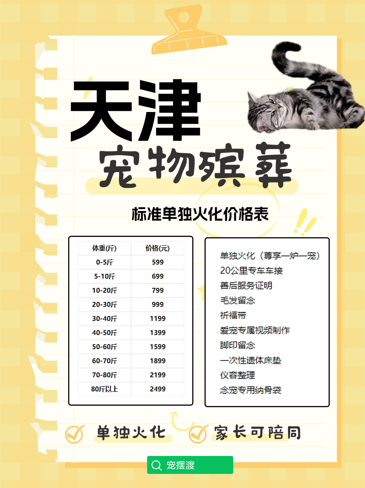 天津宠物火化：一场关于爱与陪伴的最后仪式