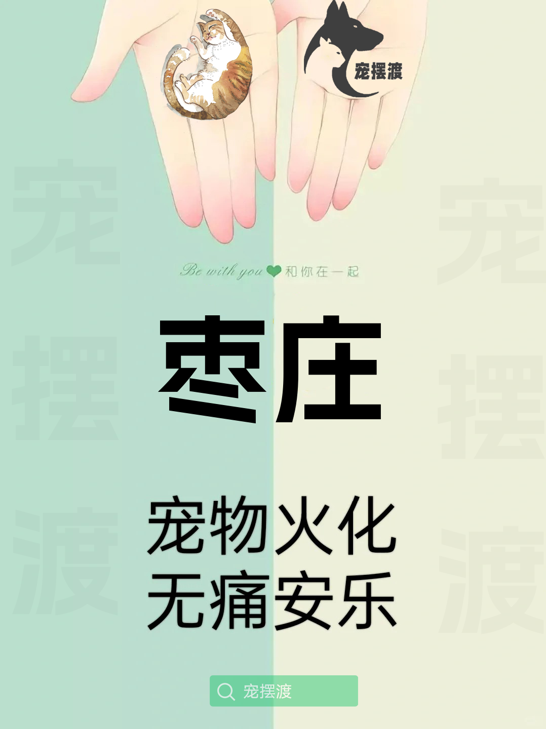 枣庄宠物殡仪馆：如何让告别更具个性化服务