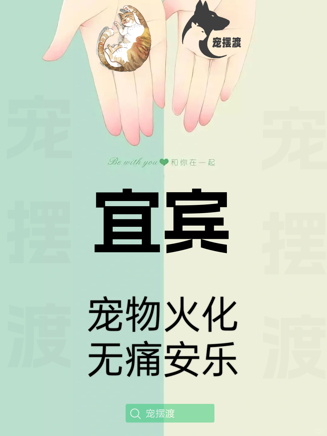宜宾宠物殡葬：如何为宠物选择合适的殡葬团队