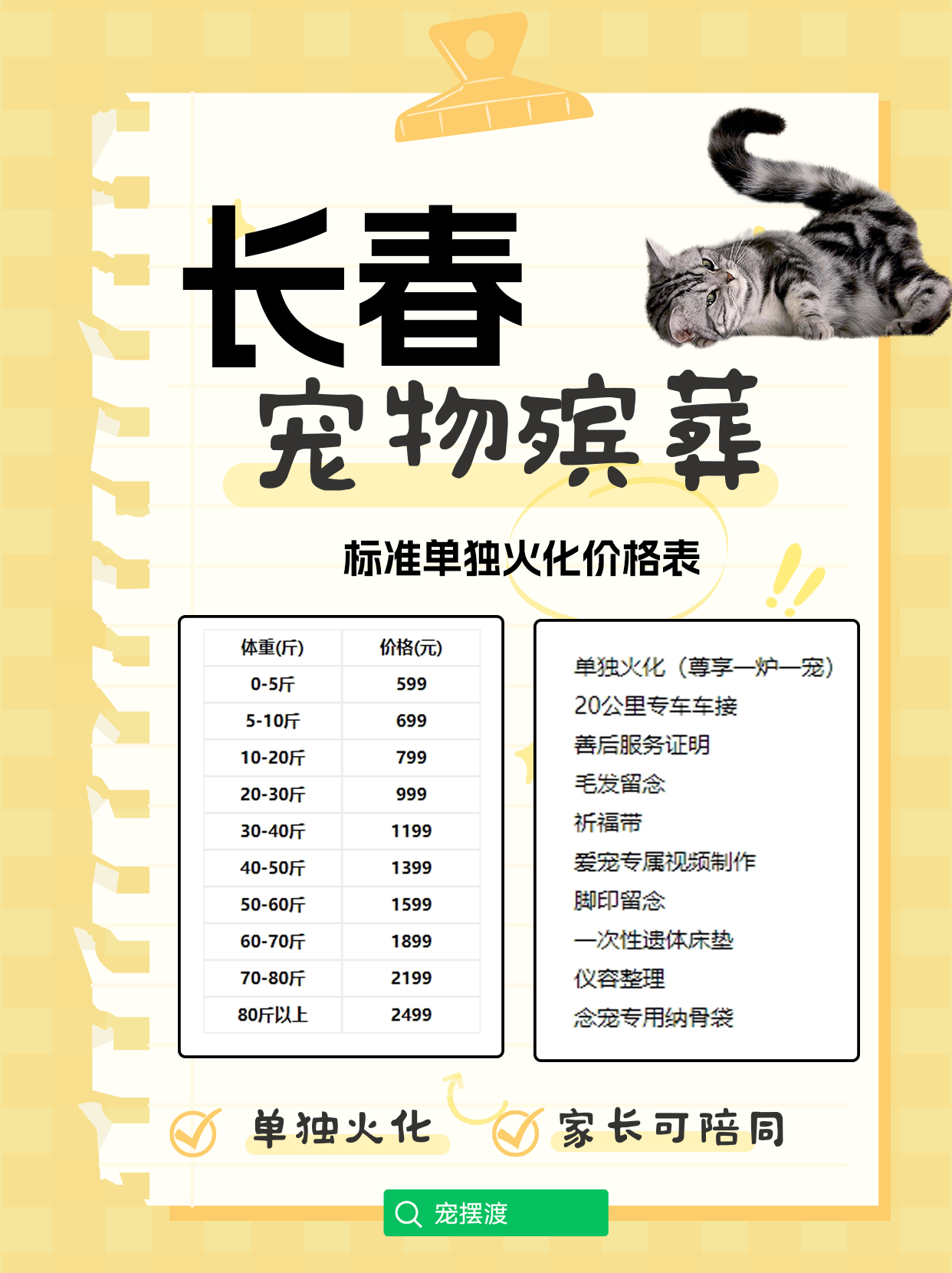 长春宠物丧葬：如何让爱与记忆在心中永存