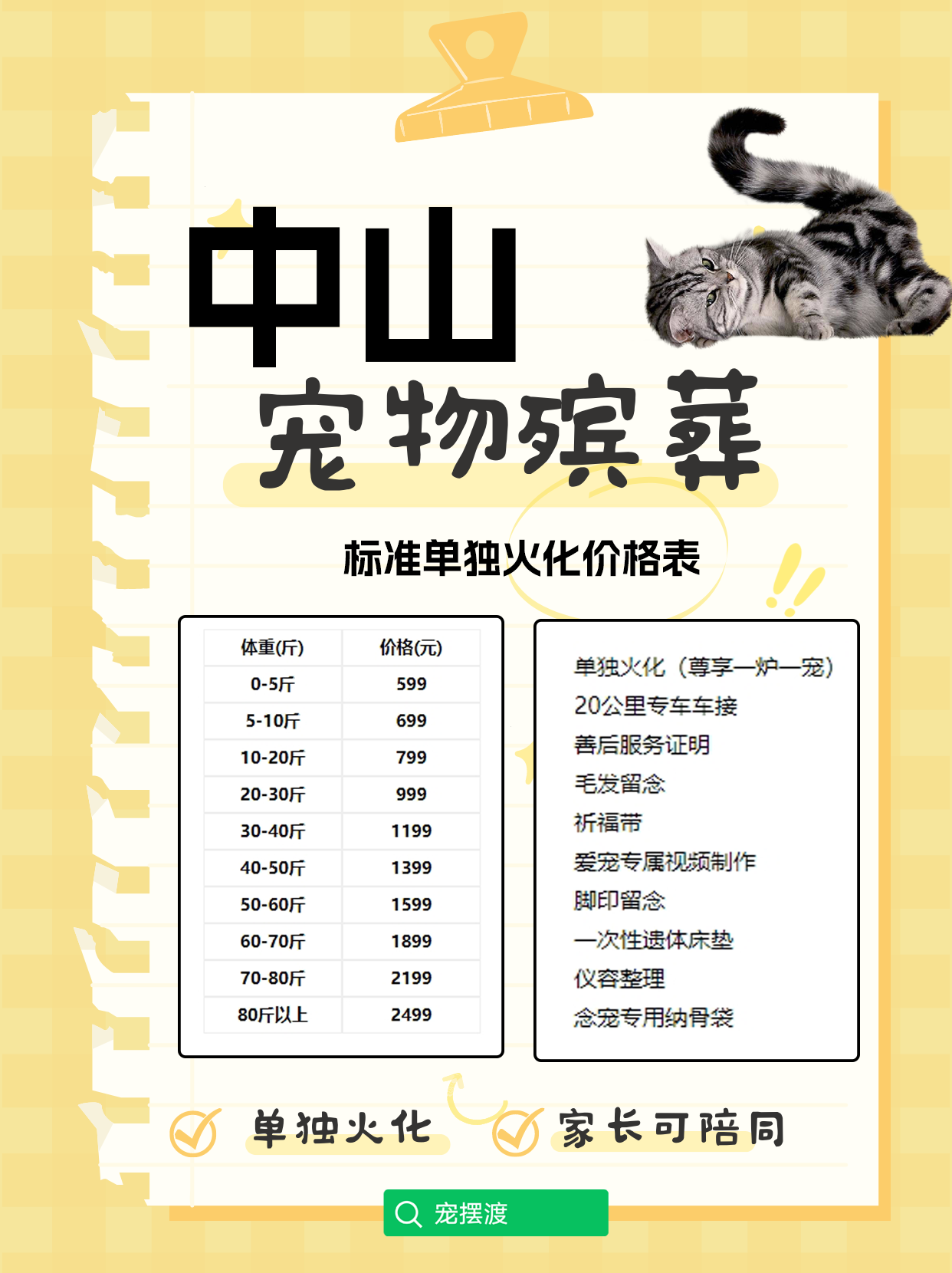中山宠物丧葬：如何让爱与记忆在心中永存