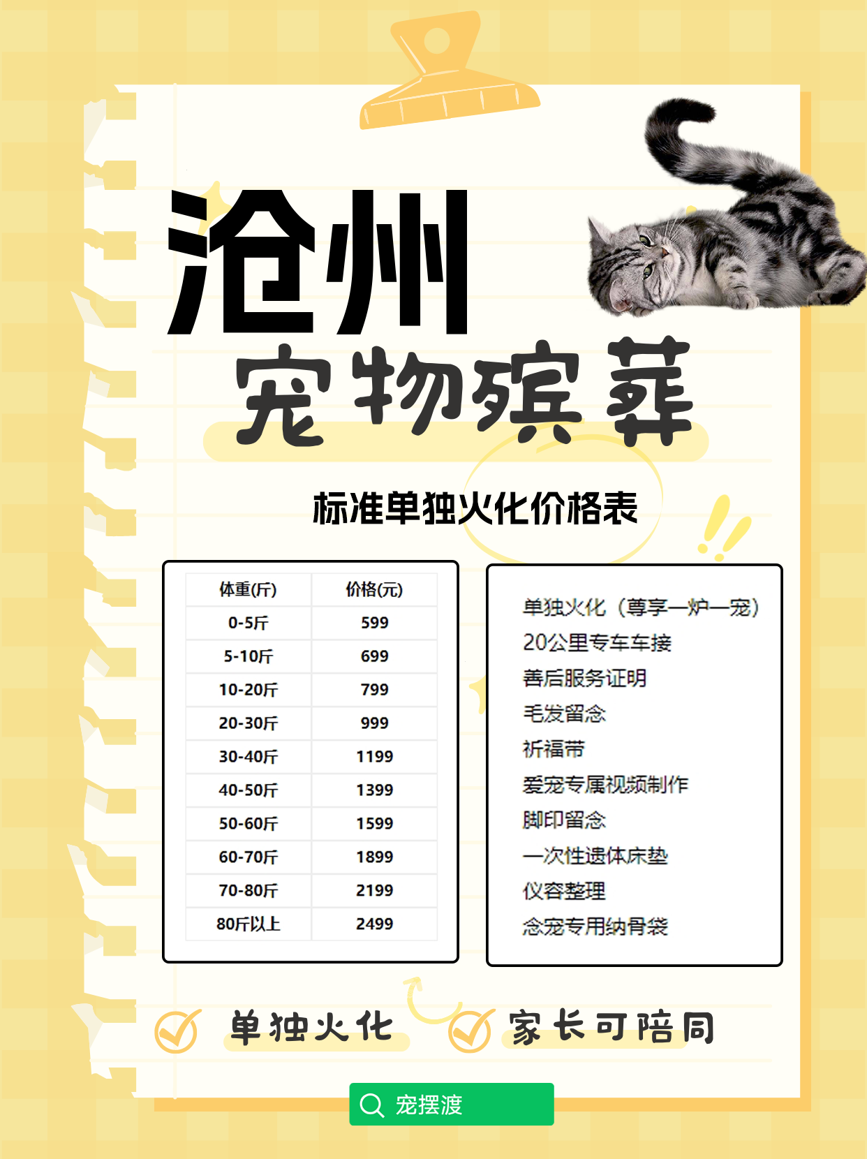 沧州宠物殡葬：一份对生命最后的尊重与呵护