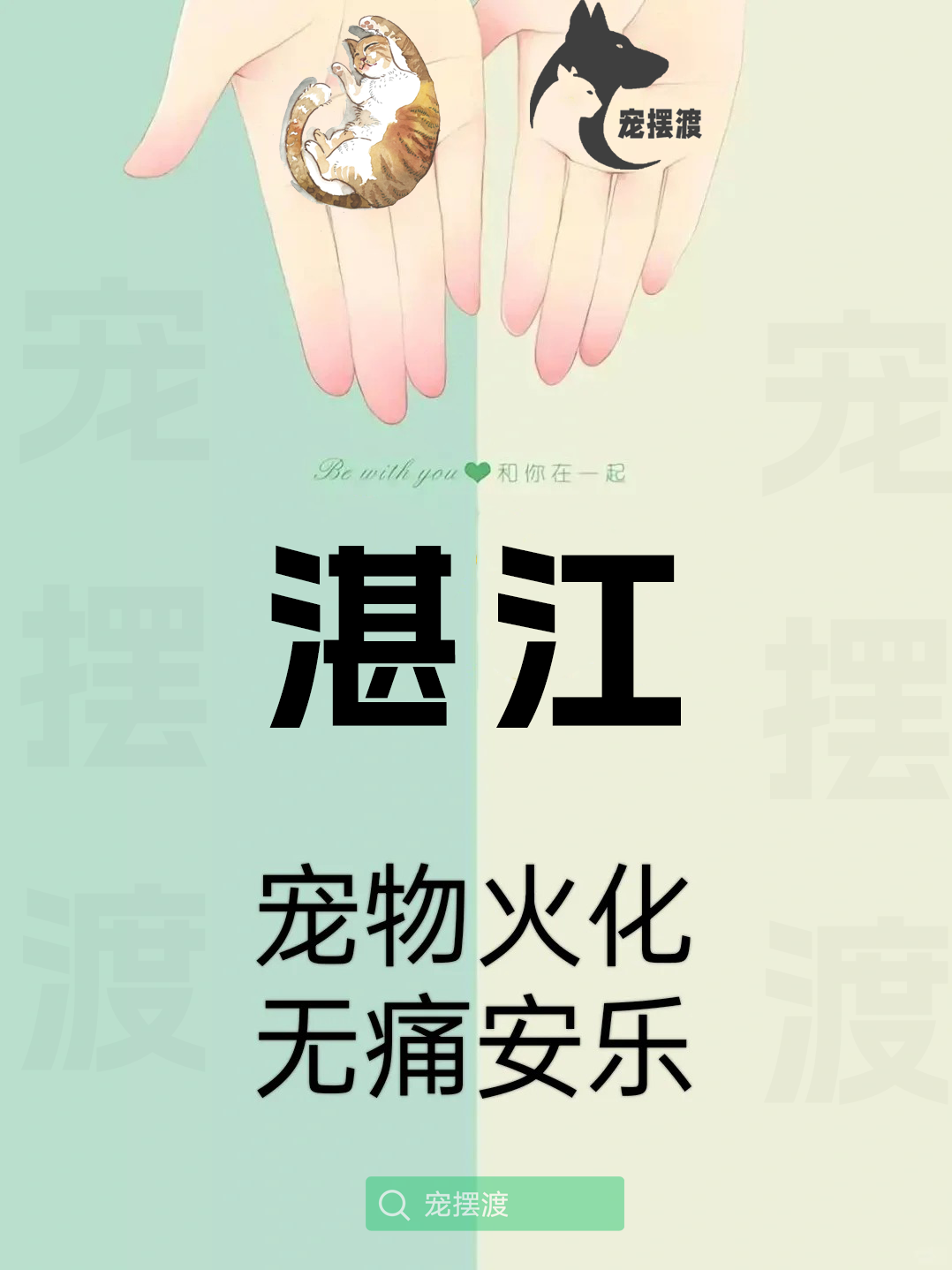 湛江宠物殡仪馆：如何让告别更具情感温度