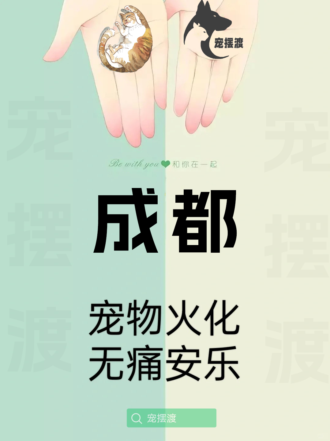 成都宠物殡葬：如何为宠物选择合适的殡葬风格