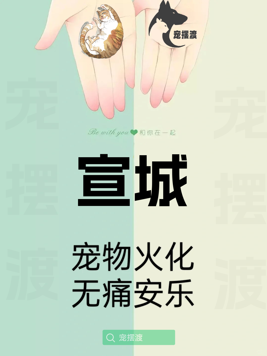 宣城宠物火化：如何选择合适的火化材料