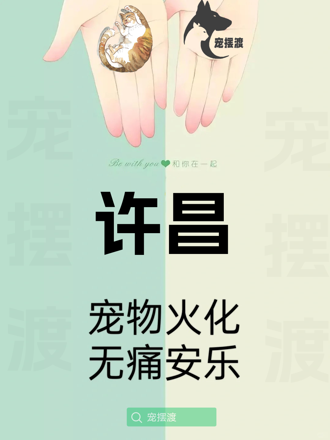许昌宠物身后事：如何处理宠物的遗体告别仪式