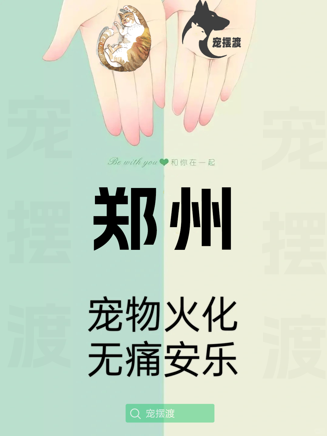 郑州宠物殡葬：如何为宠物选择合适的殡葬团队