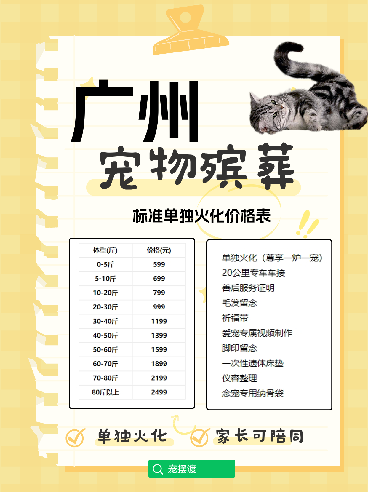 广州宠物殡葬：如何让离别不再那么难以承受