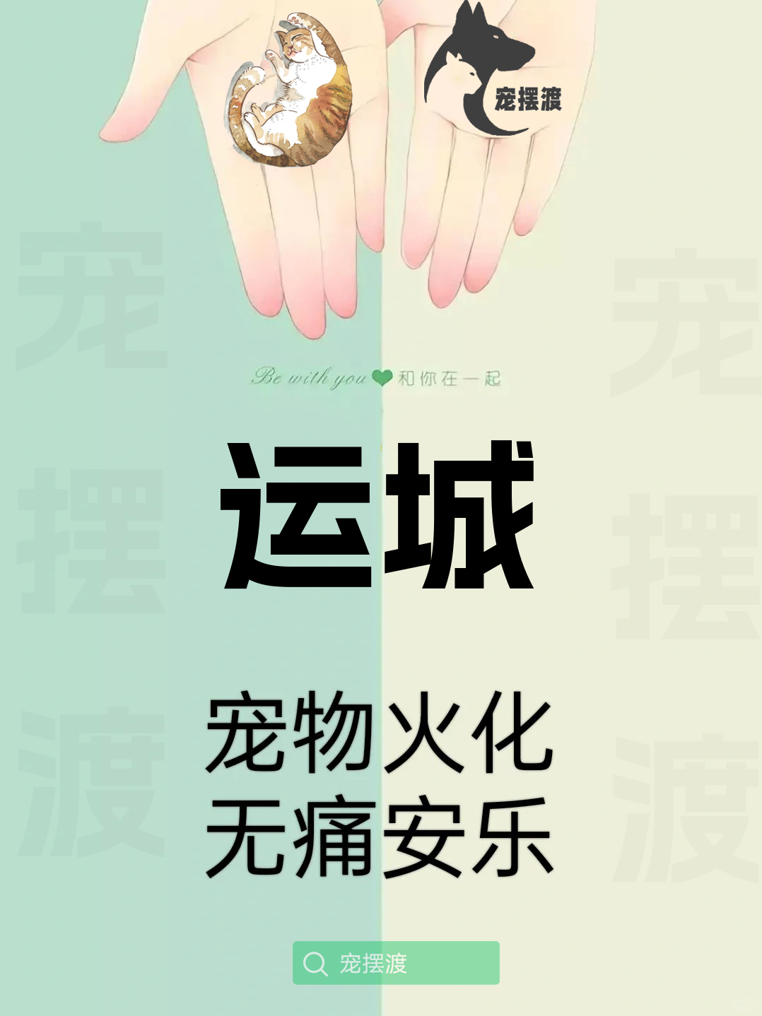 运城宠物火化：如何选择合适的火化方式