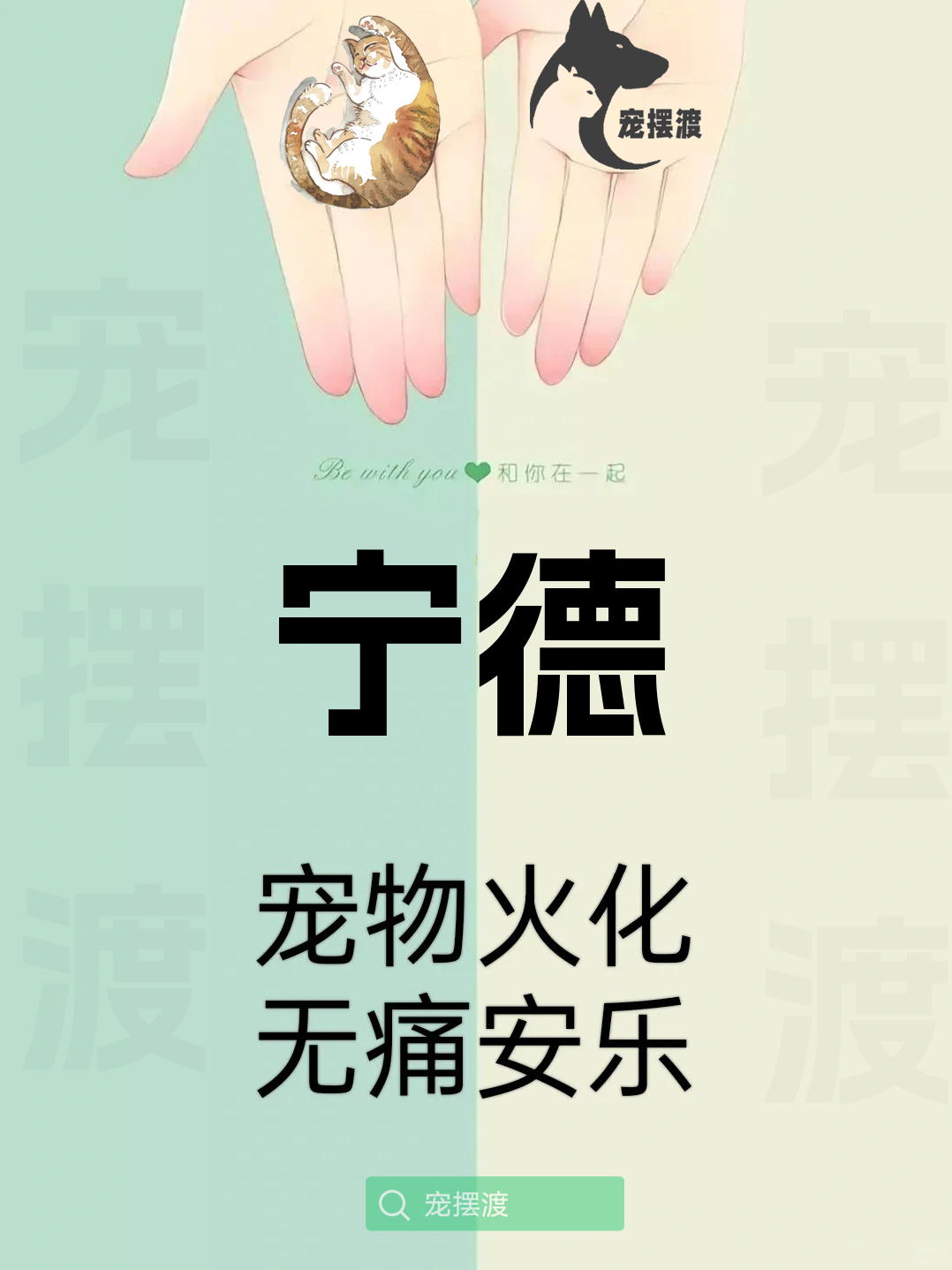 宁德宠物殡葬：如何为宠物选择合适的殡葬团队