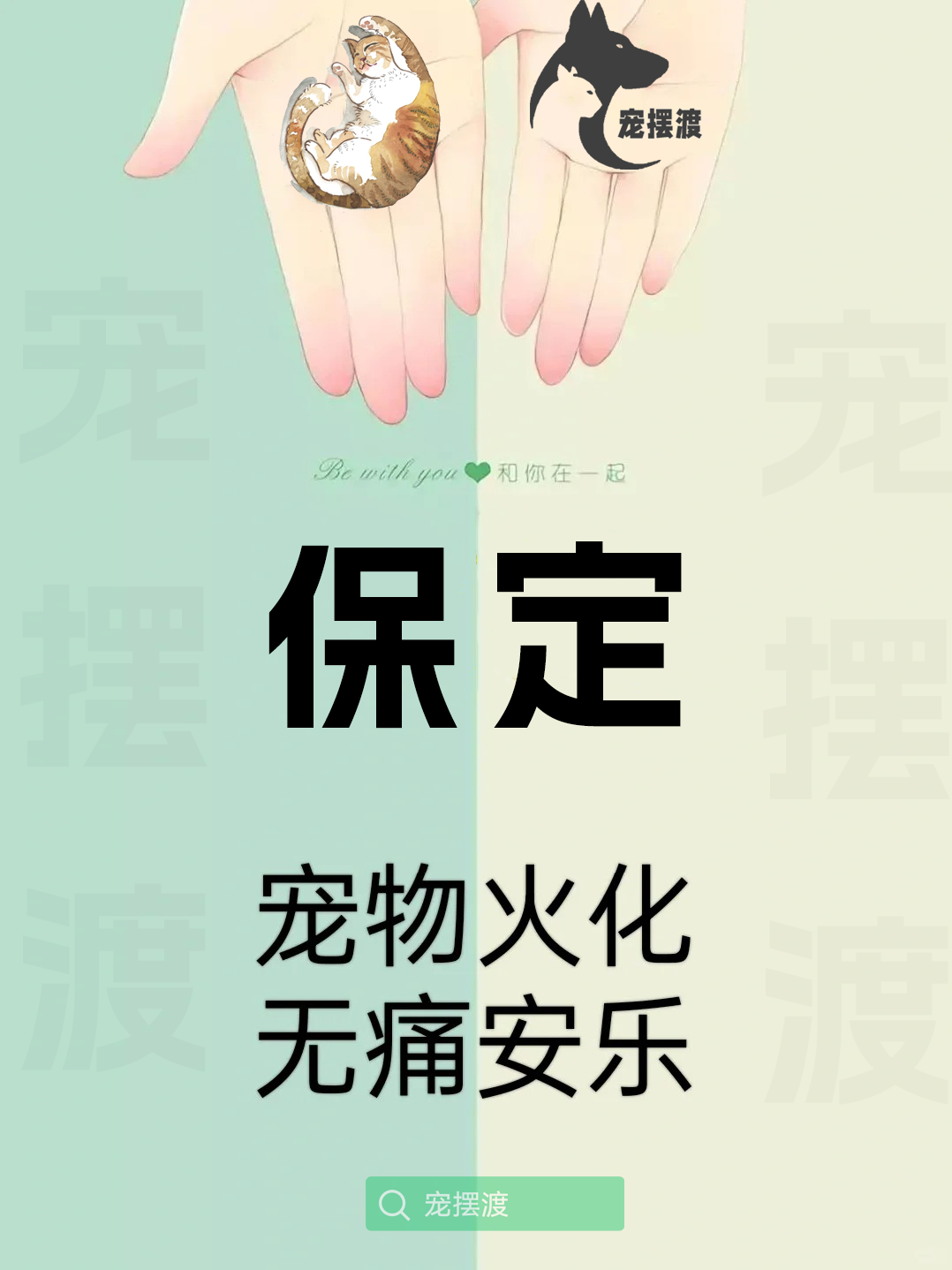 保定宠物殡葬：如何为宠物选择合适的殡葬团队
