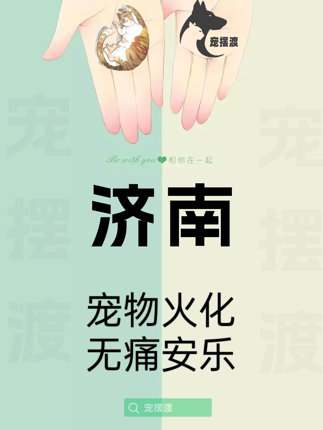 济南宠物丧葬：如何处理宠物的遗体告别仪式