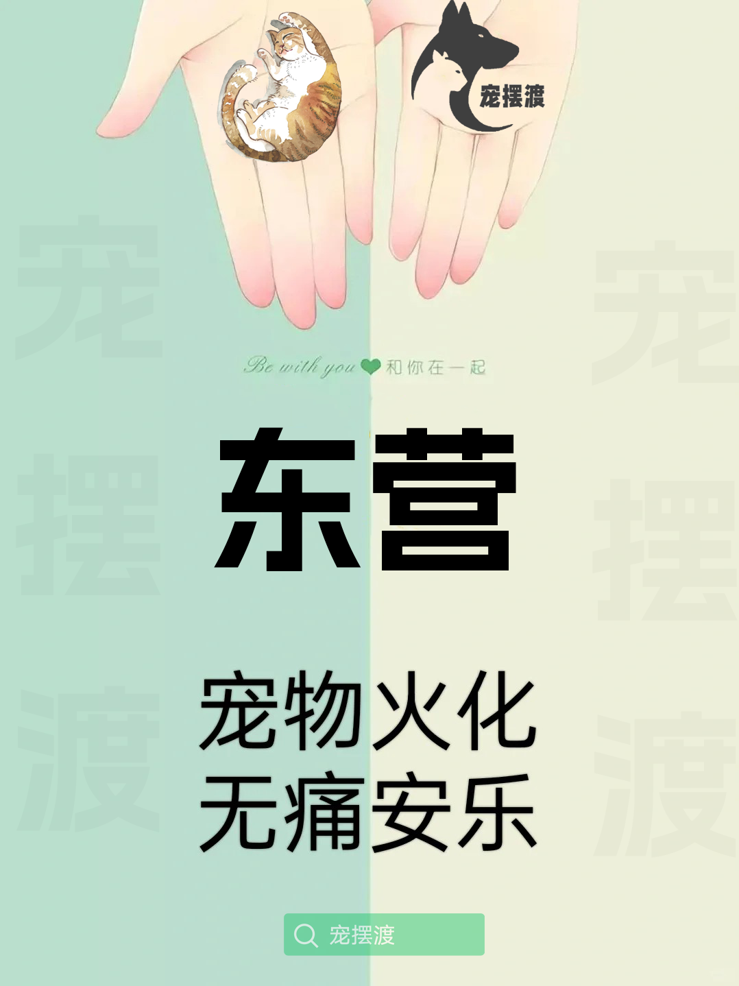 东营宠物殡葬：如何为宠物选择合适的殡葬用品