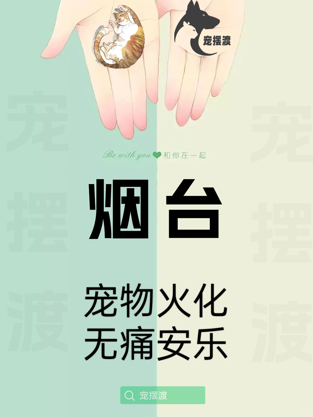 烟台宠物殡仪馆：如何让告别更具情感温度