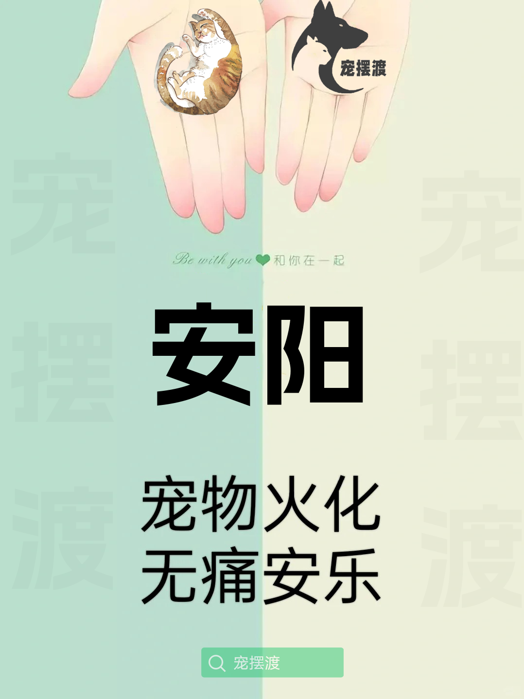 安阳宠物殡仪馆：如何让告别更具情感价值