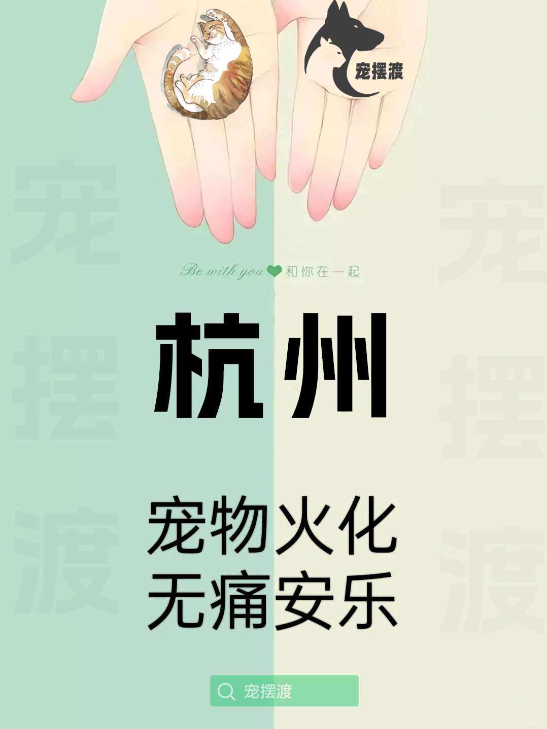 杭州宠物身后事：如何处理宠物的遗体告别仪式