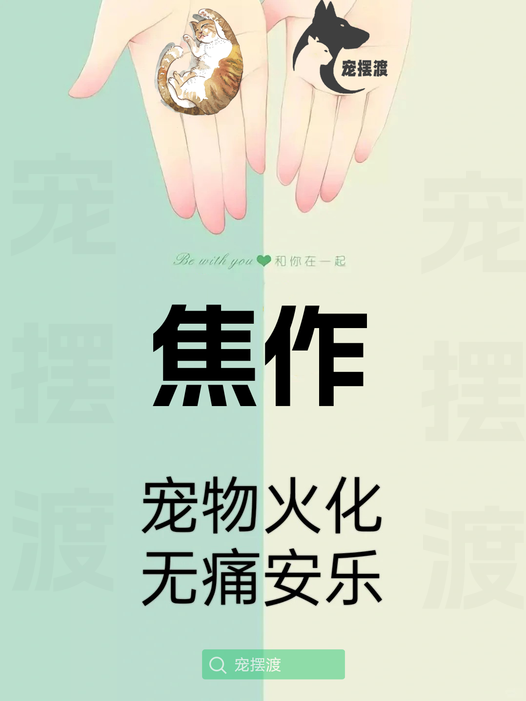 焦作宠物丧葬：如何处理宠物的遗体告别仪式