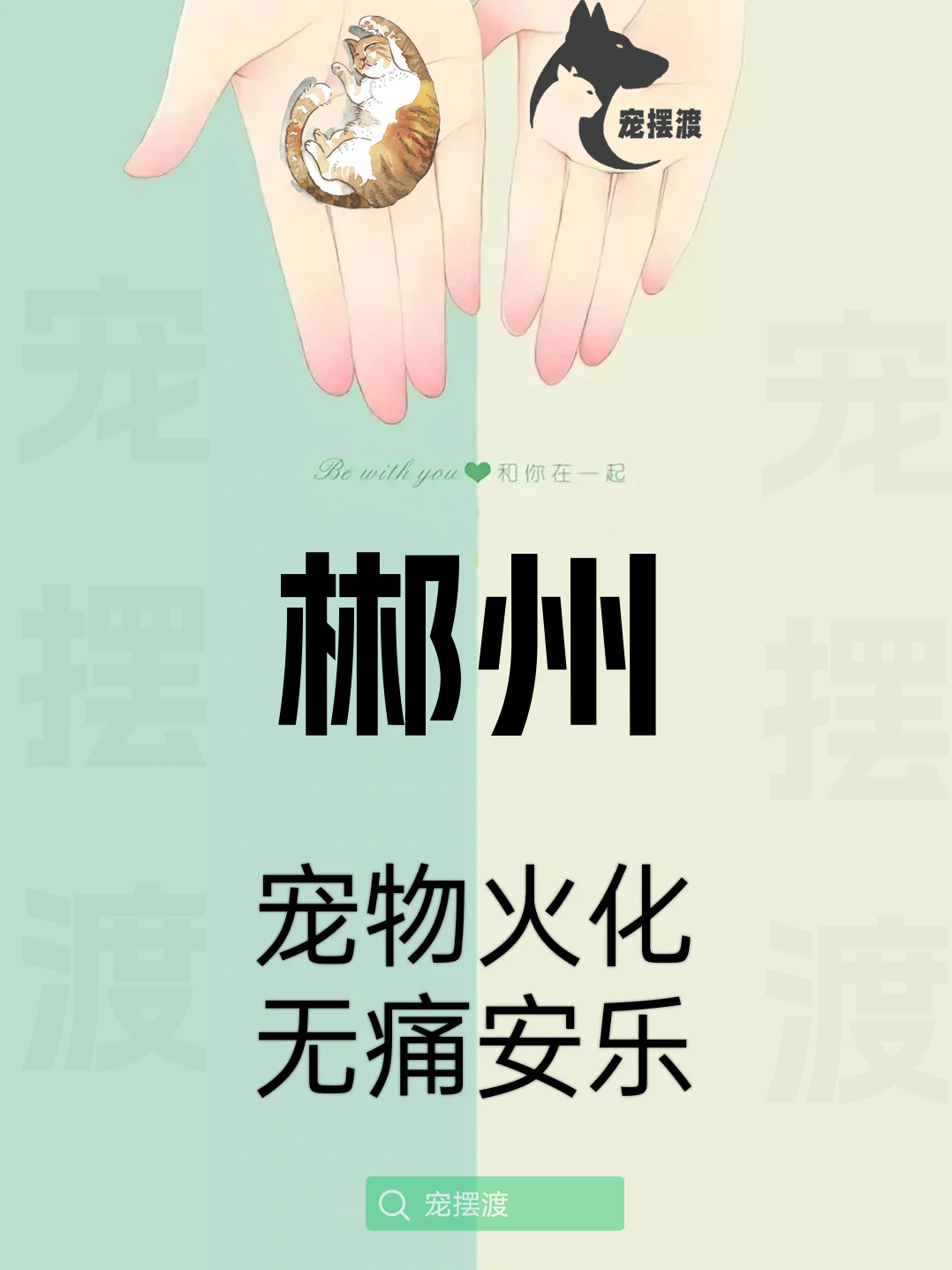 郴州宠物殡仪馆：如何让告别更具情感价值