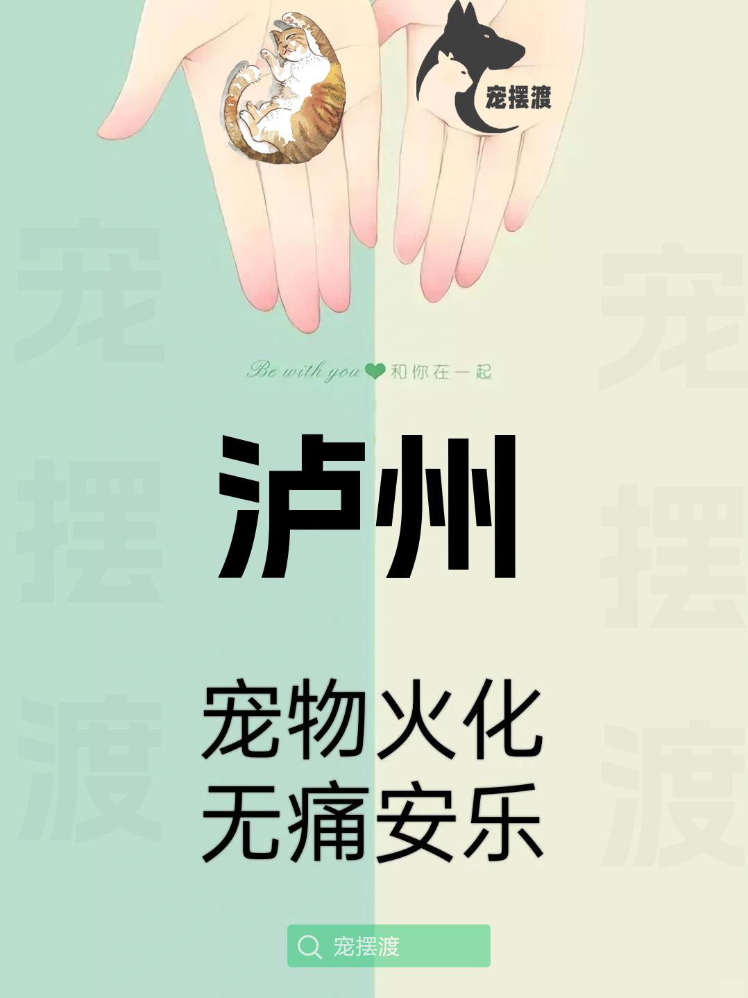 泸州宠物丧葬：如何处理宠物的遗体告别仪式