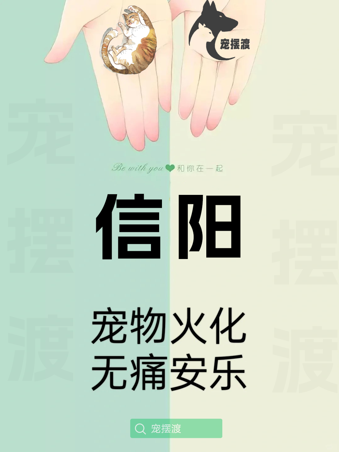 信阳宠物善后：如何处理宠物的遗体告别仪式