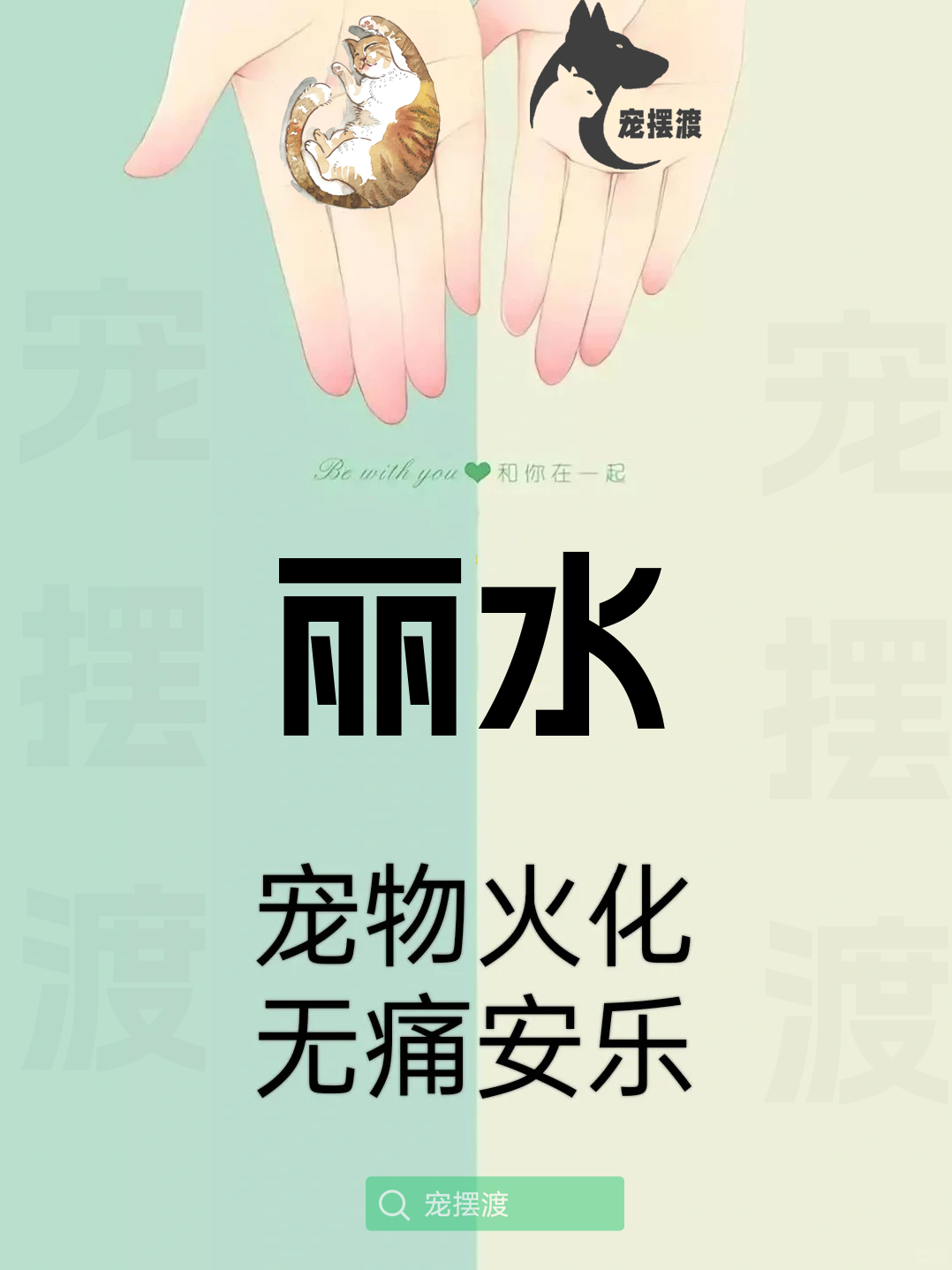丽水宠物善后：如何处理宠物的遗体告别仪式