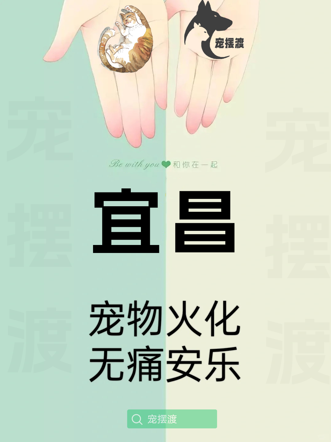 宜昌宠物殡葬：如何为宠物选择合适的殡葬用品