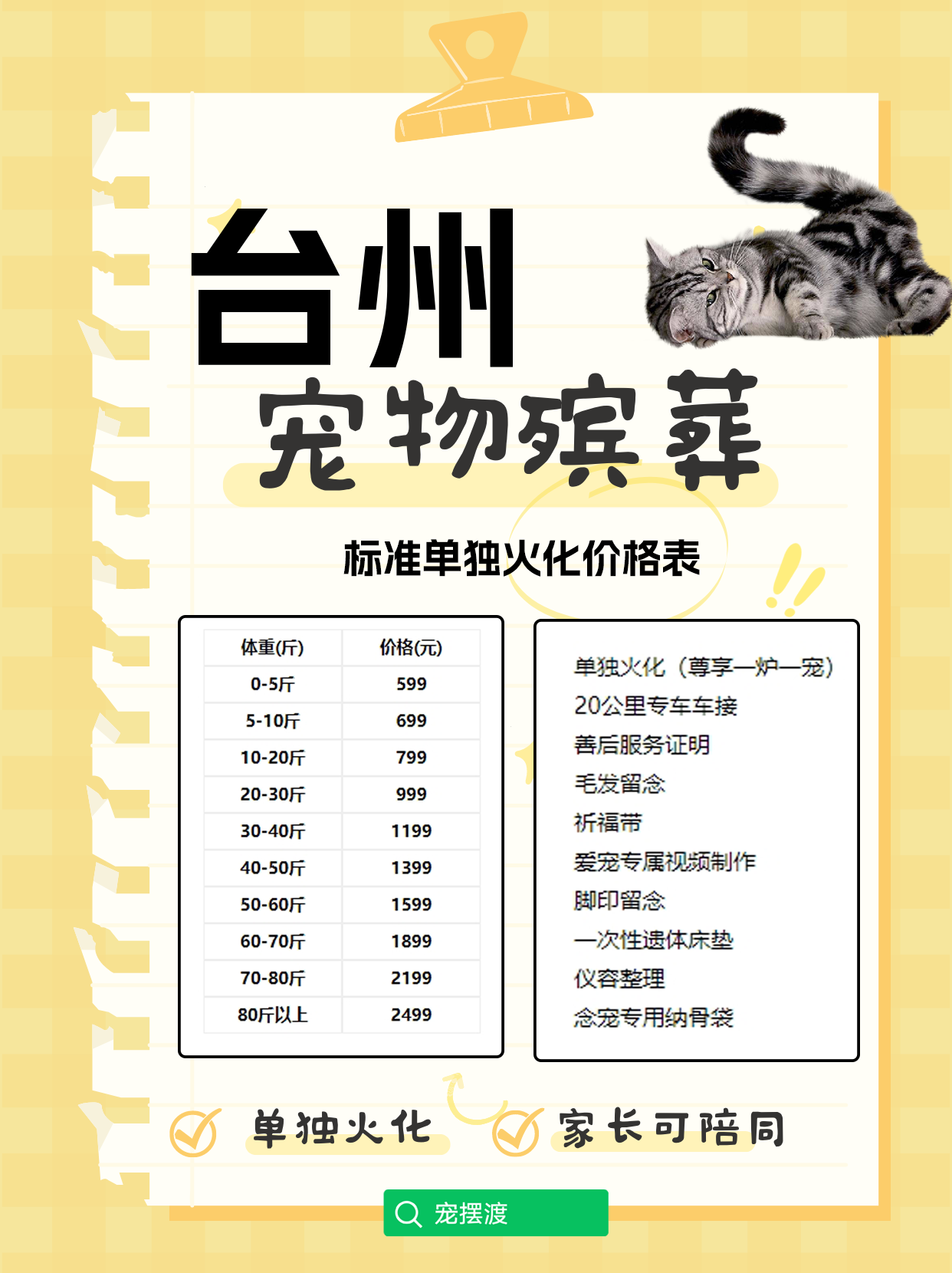 台州宠物火化：如何让离别变得温暖而难忘